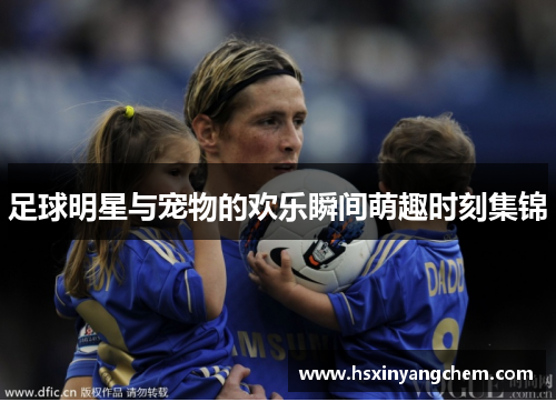 足球明星与宠物的欢乐瞬间萌趣时刻集锦