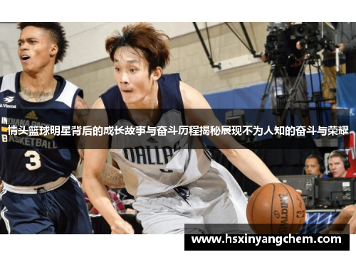 情头篮球明星背后的成长故事与奋斗历程揭秘展现不为人知的奋斗与荣耀