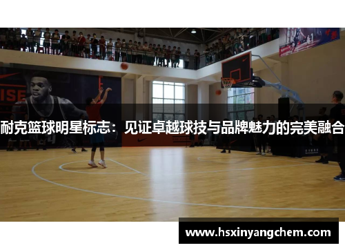耐克篮球明星标志：见证卓越球技与品牌魅力的完美融合